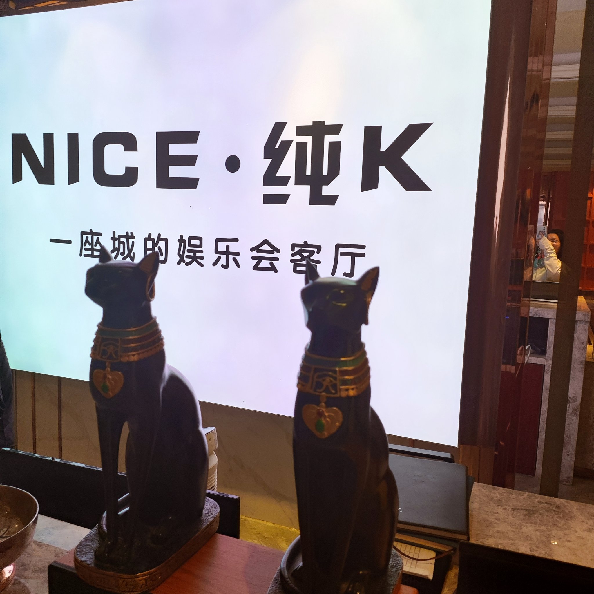 株洲商务ktv夜场酒吧活动-炎陵县ktv预订